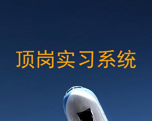 顶岗实习系统