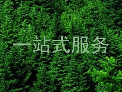 一站式服务