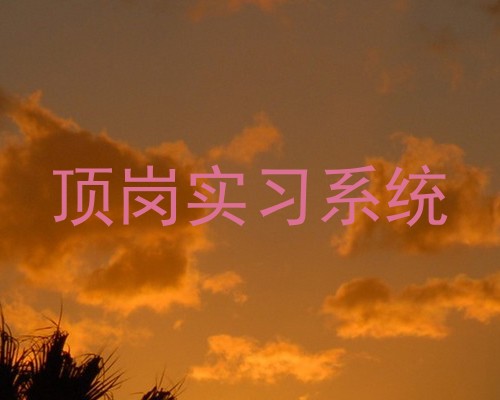 顶岗实习系统