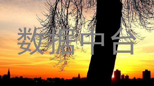 数据中台