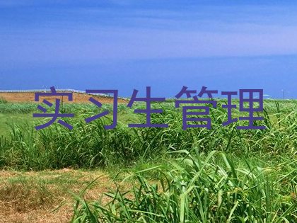 实习生管理