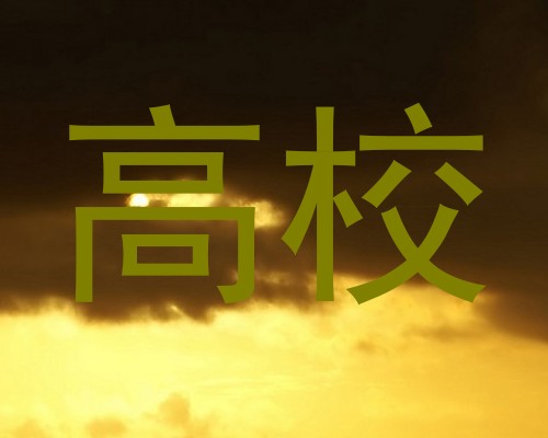 高校