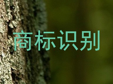 商标识别