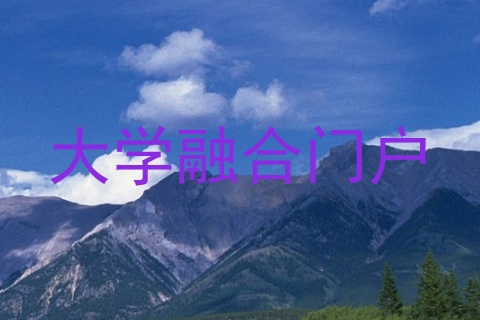 大学融合门户