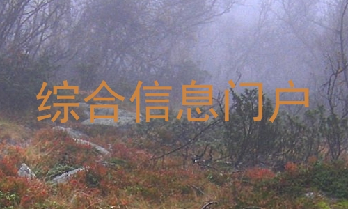 综合信息门户