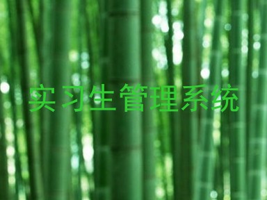 实习生管理系统