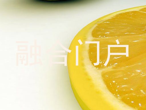融合门户