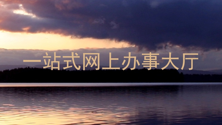 一站式网上办事大厅