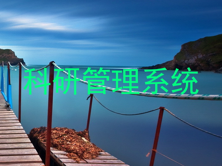科研管理系统