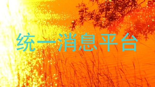 统一消息平台