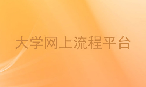 大学网上流程平台
