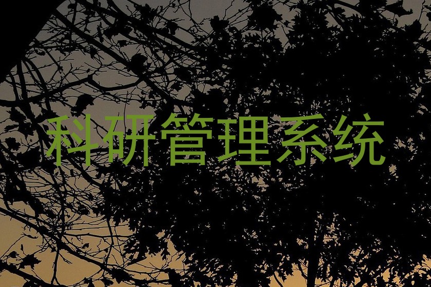 科研管理系统