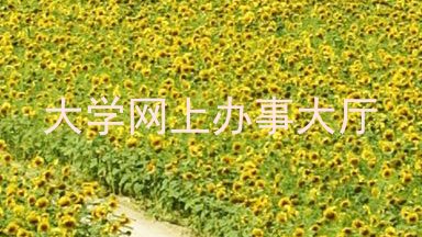 大学网上办事大厅