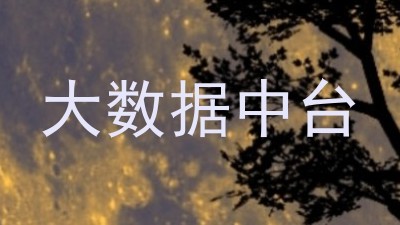 大数据中台