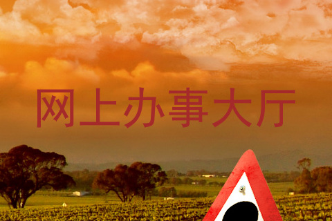 网上办事大厅