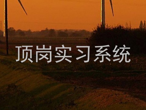 顶岗实习系统