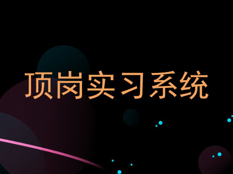 顶岗实习系统