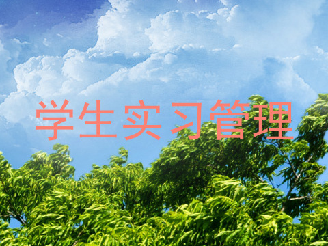 学生实习管理