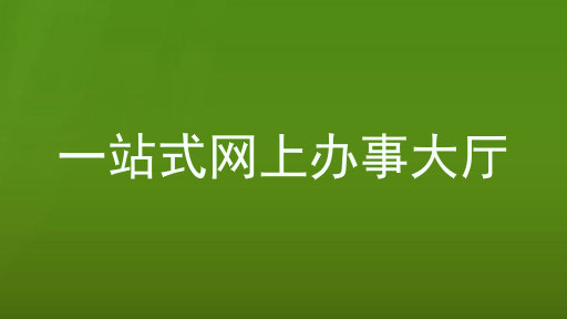 一站式网上办事大厅