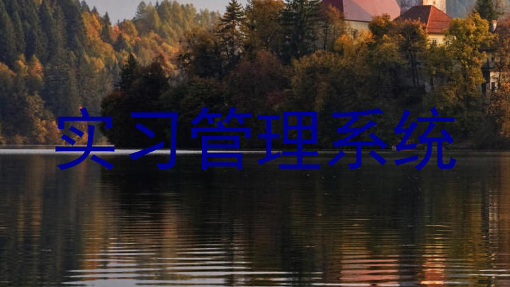 实习管理系统