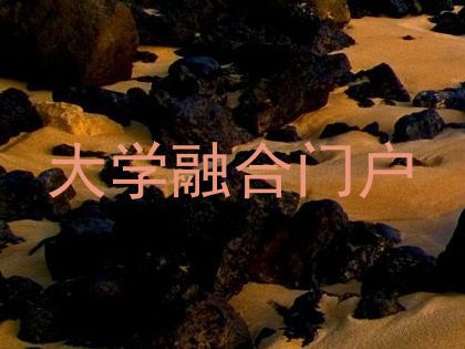 大学融合门户