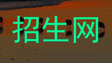 招生网