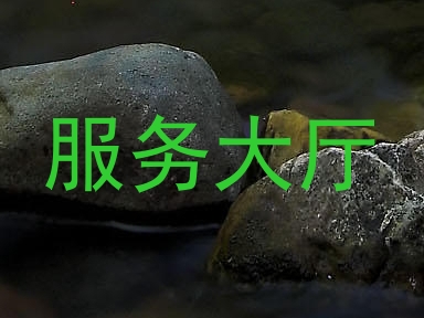 服务大厅