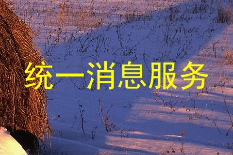 统一消息服务