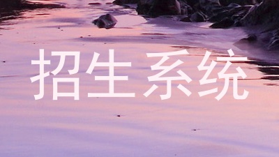 招生系统