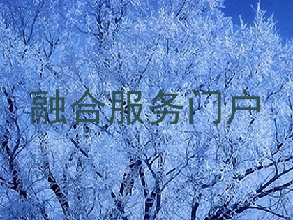 融合服务门户