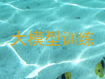 大模型训练