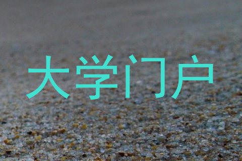 大学门户
