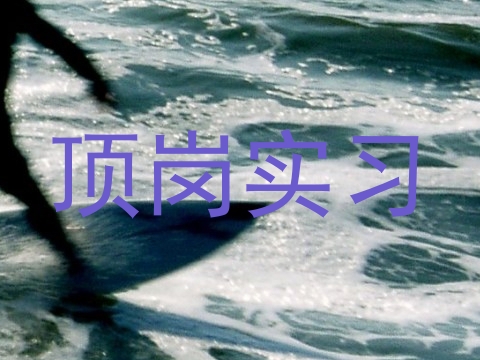 顶岗实习