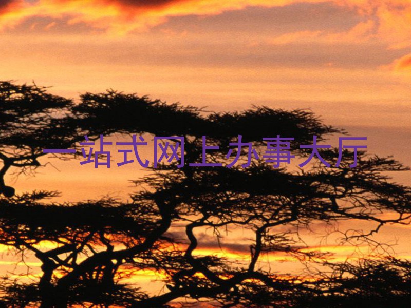 一站式网上办事大厅