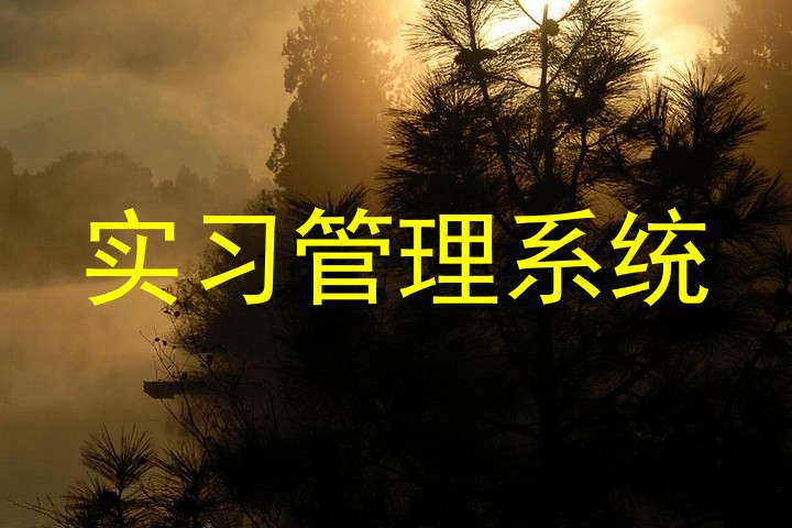 实习管理系统