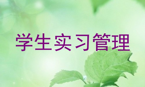 学生实习管理