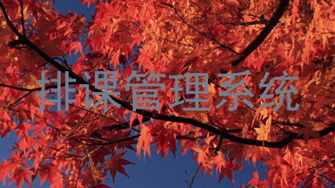 排课管理系统