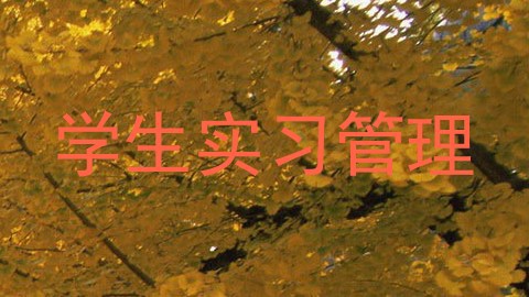 学生实习管理