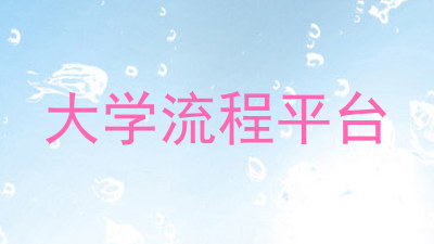 大学流程平台