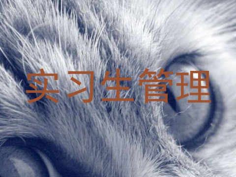 实习生管理