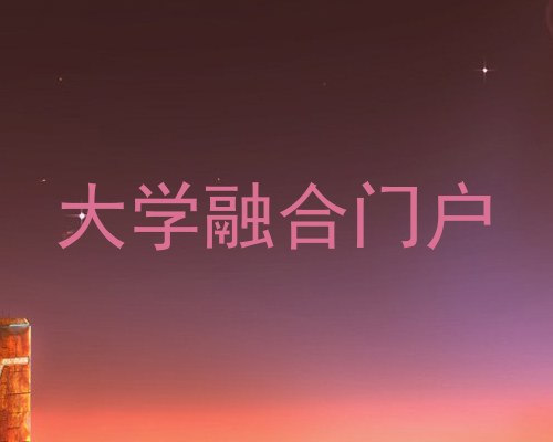 大学融合门户