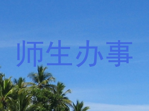 师生办事