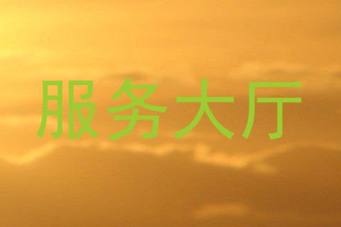 服务大厅