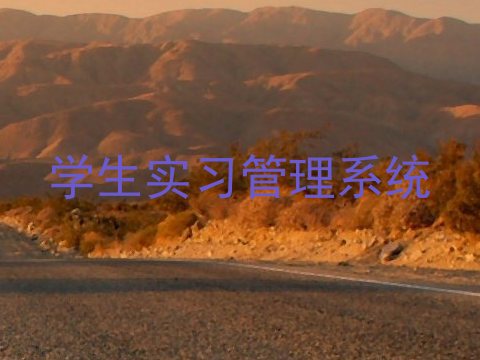 学生实习管理系统