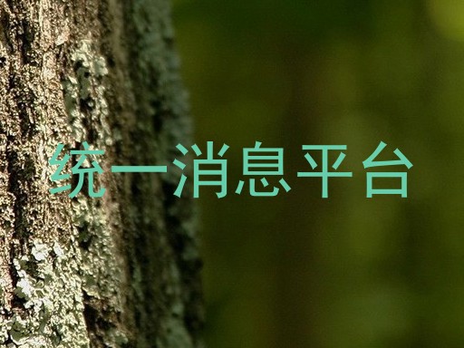统一消息平台
