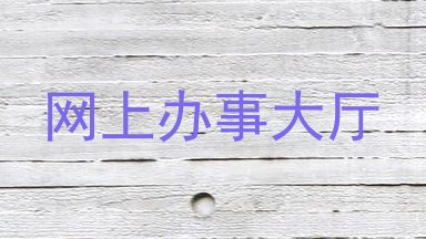 网上办事大厅