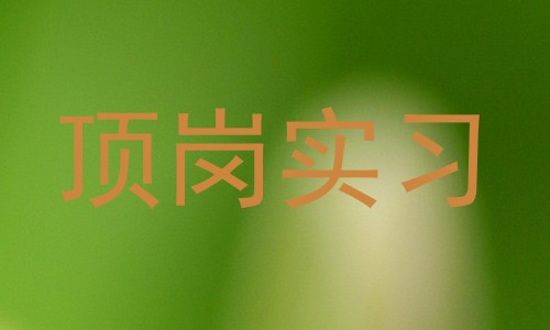 顶岗实习