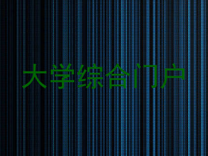 大学综合门户