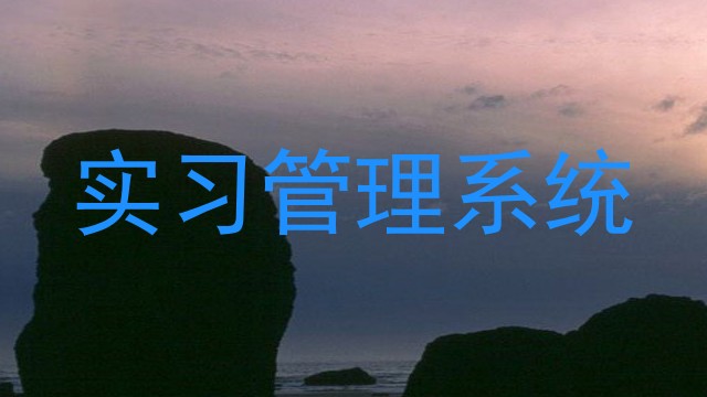 实习管理系统