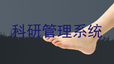 科研管理系统